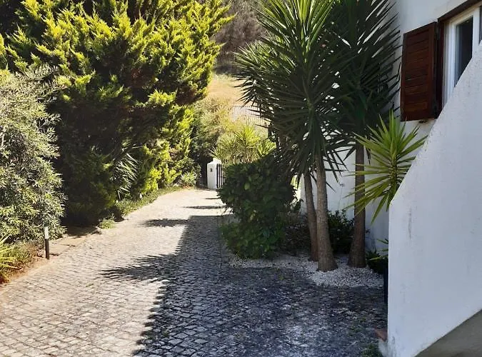 Yuccas House Villa