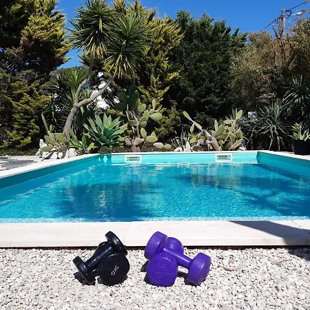 Yuccas House