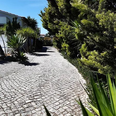 Yuccas House Villa *