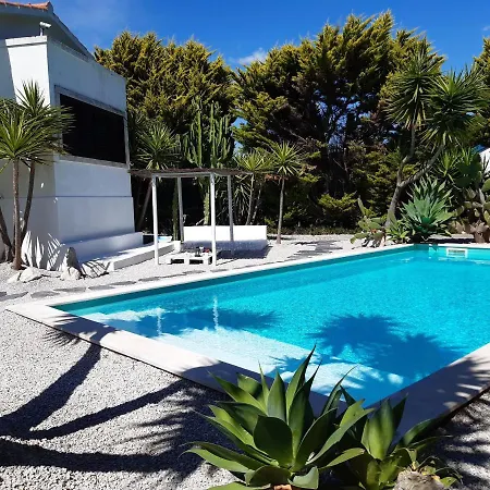 Yuccas House *