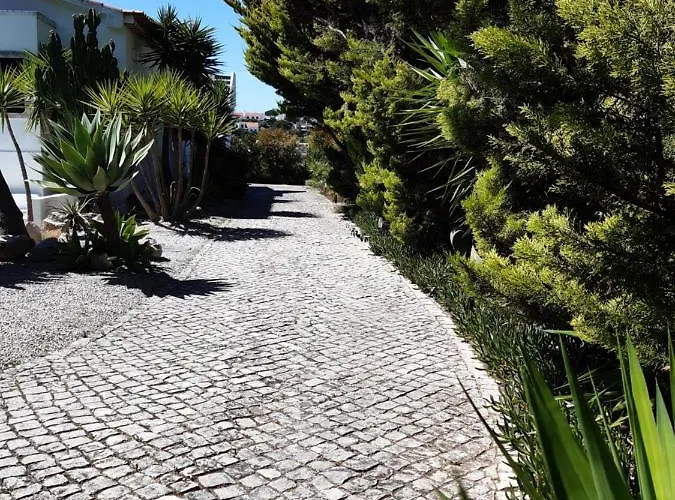 Yuccas House Βίλα *